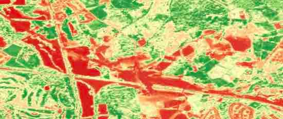 Enviromental Impact Surveys