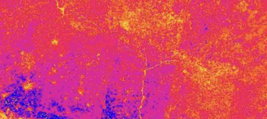 Precious Metals Surveys